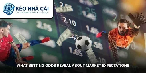 Bookmaker Odds Explained - A Smarter Way to Read Betting Lines
